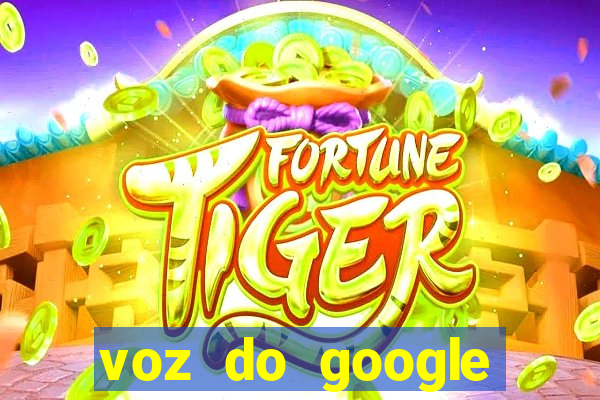 voz do google tradutor homem